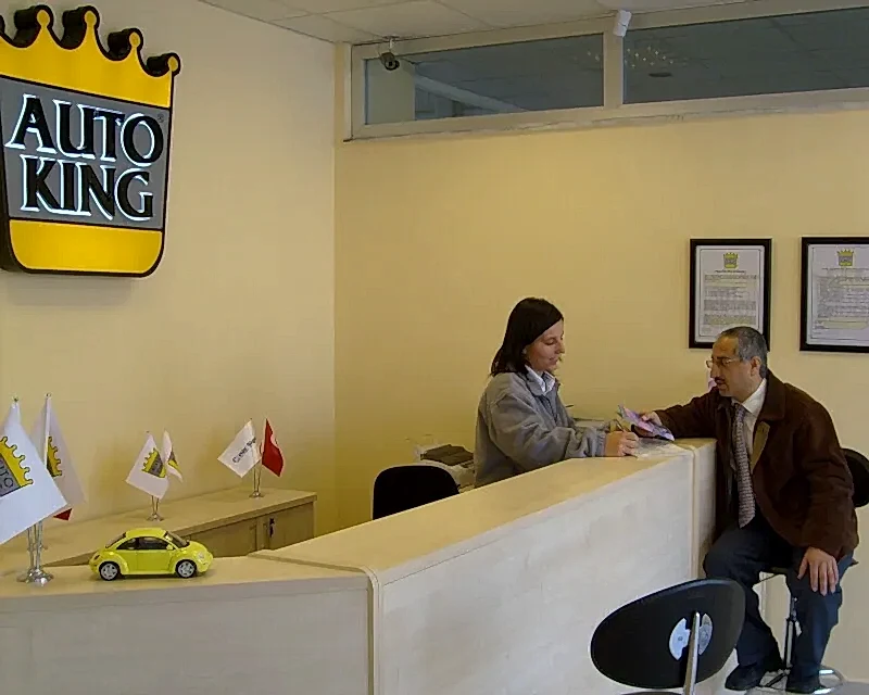 Aydın Merkez Oto Servis